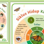 Manfaat Belajar Tentang Siklus Hidup Kupu Kupu Dan Katak Menyingkap Keajaiban Alam Dan Mengembangkan Potensi Anak
