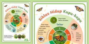 Manfaat Belajar Tentang Siklus Hidup Kupu Kupu Dan Katak Menyingkap Keajaiban Alam Dan Mengembangkan Potensi Anak